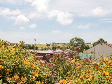 A garden with yellow and pink flowers with trees and fields in the background at Lulstead in Nottington near Weymouth