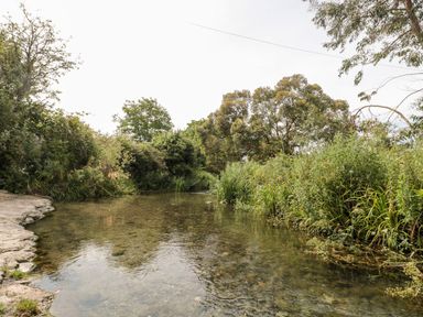 A clear shallow river with vegetation on both sides and trees in the background at Lulstead in Nottington near Weymouth