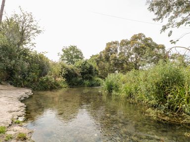A shallow stream surrounded by dense vegetation and trees at Overcombe Mill in Nottington near Weymouth