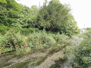 A shallow stream with greenery and trees along the sides at Corvesgate in Nottington near Weymouth