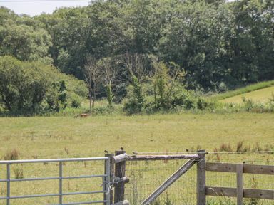 A field enclosed by metal and wooden fences with trees in the background at Corvesgate in Nottington near Weymouth