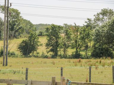 A fenced grassy field with trees and power lines in a rural area at Corvesgate in Nottington near Weymouth