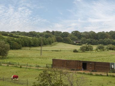 A field with a horse in a red blanket and a wooden stable with trees in the background at Corvesgate in Nottington near Weymouth