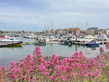 A marina with boats docked in the water and pink flowers in the foreground at Corvesgate in Nottington near Weymouth
