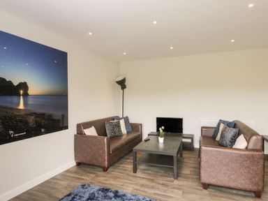 A living room with two brown sofas a coffee table cushions a floor lamp a small television and a large wall photograph at Dirdale in Weymouth