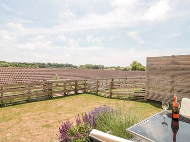 A fenced garden with dry grass and purple flowers next to a glass table with a wine bottle and glass at Dirdale in Weymouth