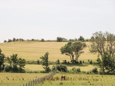 A horse grazing in a fenced pasture with fields and trees in the background at Dirdale Weymouth