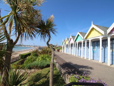A row of colorful beach huts along a paved path with palm trees and greenery overlooking a sandy beach at Dirdale in Weymouth