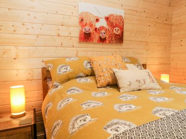 A bedroom with a bed with hedgehog patterned bedding and cushions with animal designs at Howgill Lodge in Gatebeck near Kirkby Lonsdale