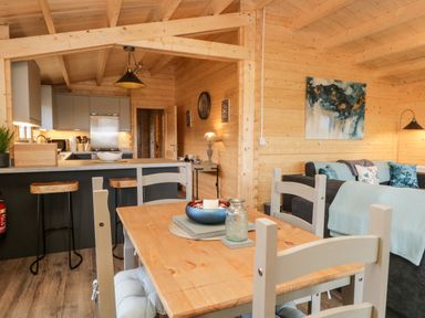 An open-plan kitchen and dining area with wooden walls and ceiling stools at a kitchen counter a wooden dining table and chairs a sofa with cushions and paintings a lamp on a side table at Howgill Lodge in Gatebeck near Kirkby Lonsdale