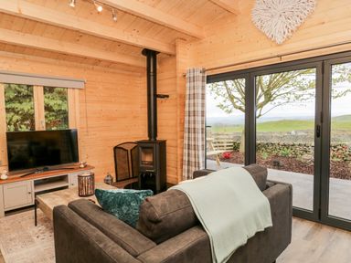 A living room with a brown sofa a wood stove television and large glass doors opening to a garden at Howgill Lodge in Gatebeck near Kirkby Lonsdale