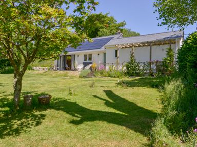 A garden with a tree and a lawn in front of a house with solar panels and outdoor chairs at Bluebell Cottage in Mary Tavy
