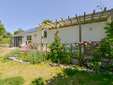 A garden with flowers and a wooden pergola next to a house with solar panels at Bluebell Cottage in Mary Tavy