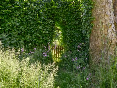 A garden path with green foliage and pink flowers leading to a wooden gate at Bluebell Cottage in Mary Tavy