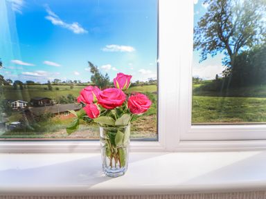 A glass vase with pink roses on a windowsill with a countryside view at Rashierigg in Catterick North Yorkshire