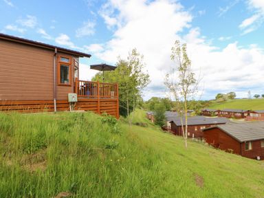 A group of wooden cabins on a grassy hillside with trees and a blue sky at Rashierigg in Catterick North Yorkshire