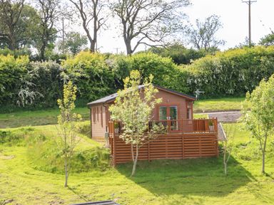 A wooden cabin with a deck and railing surrounded by grass and trees at Rashierigg in Catterick North Yorkshire