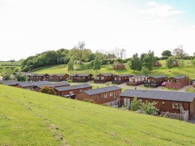 Row of wooden lodges on a grassy hill with trees and more lodges in the background at Rashierigg in Catterick North Yorkshire