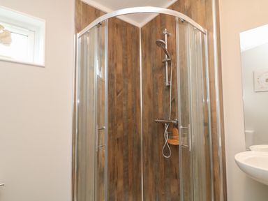 A shower enclosure with wood panel walls and a handheld showerhead in a bathroom at Lily Broadwoodwidger near Ashwater