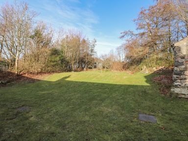 A grassy yard with leafless trees and a stone structure casting a shadow at Pen y Mynydd in Newport Pembrokeshire