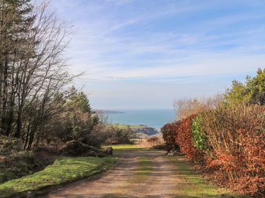 A dirt path with grass and trees on both sides leading towards a coastline with sea and sky at Pen y Mynydd in Newport Pembrokeshire