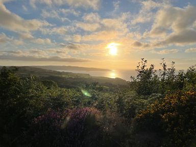 A coastal landscape with vegetation in the foreground and the sun setting over the sea at Pen y Mynydd in Newport Pembrokeshire