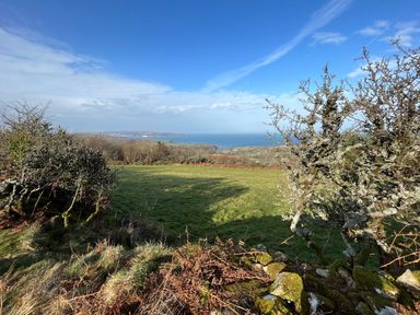 A grassy field with trees and bushes overlooking the sea at Pen y Mynydd in Newport Pembrokeshire