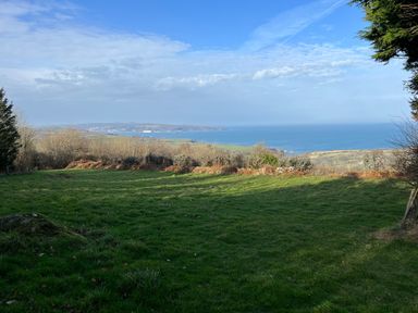 A grassy field with bushes and trees overlooking a coastline and ocean at Pen y Mynydd in Newport Pembrokeshire