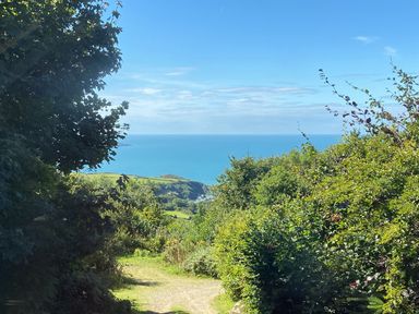 A coastal view with green bushes and trees leading to the sea at Pen y Mynydd in Newport Pembrokeshire