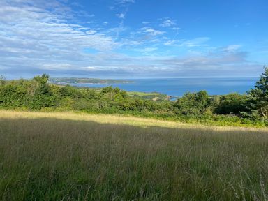 A grassy field with trees and a view of the ocean under a partly cloudy sky at Pen y Mynydd in Newport Pembrokeshire