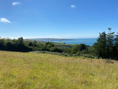 A grassy field with trees and a distant view of the sea at Pen y Mynydd in Newport Pembrokeshire