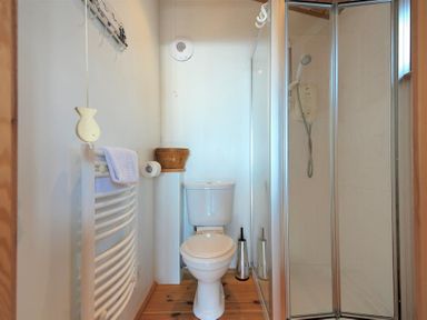 A bathroom with a toilet, a glass shower enclosure, a towel radiator, and a waste bin at St Anton Lyme Regis