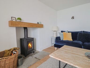 A living room with a wood-burning stove a blue velvet sofa with cushions a wooden coffee table and a wicker basket at Ancient Lights in Lyme Regis