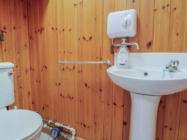 A bathroom with a toilet, a sink with a soap dispenser, wooden paneled walls, and plumbing pipes at Granny's Teeth Lyme Regis