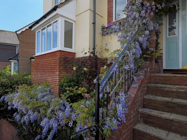 An outdoor staircase with purple flowering vines on the railing leading to a blue door at Jurassic Sea View in Lyme Regis