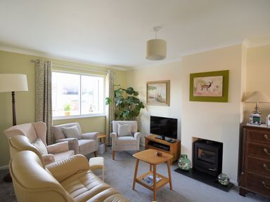 A living room with armchairs a sofa a television and a fireplace at Woody View in Colyton