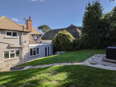 A garden with grass and trees at Westhaven in Lyme Regis
