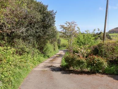 A narrow paved road bordered by dense green bushes and trees with a clear sky at High Bullen Lodge in Morcombelake