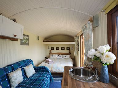 A small room with a blue patterned sofa, a bed with pillows and folded towels, a kitchen sink, and a vase with white flowers at Llety'r Bugail 1 in Llanrug