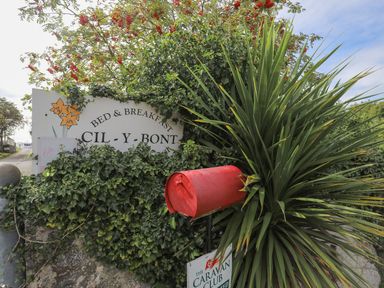 A red mailbox surrounded by plants and a bed and breakfast sign reading CIL-Y-BONT in Llanrug