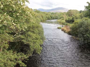 A river flowing through a densely wooded area with hills in the background at Llety'r Bugail 1 in Llanrug
