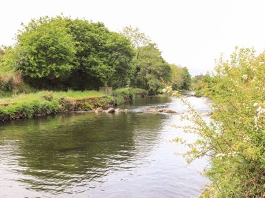 A river surrounded by green trees and bushes with rocks in the water at Llety'r Bugail 1 in Llanrug