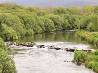 A river with small cascading waterfall surrounded by dense green trees and vegetation at Llety'r Bugail 1 in Llanrug