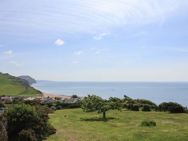 A coastal view with houses near a beach and a grassy field with a tree at Tillicum in Charmouth