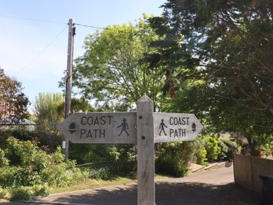 A wooden signpost showing directions for the coast path surrounded by trees and greenery at Tillicum in Charmouth