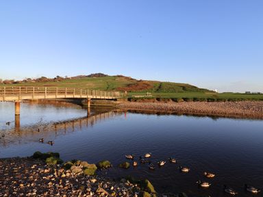 A wooden footbridge over a body of water with ducks swimming and grassy hills in the background at Tillicum in Charmouth