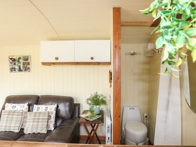 A living area with a brown leather sofa and cushions next to a small table with a plant and magazines by a small bathroom with a toilet at Llety'r Bugail 2 in Llanrug