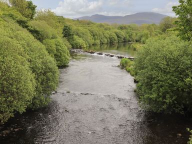 A river surrounded by green trees with mountains in the background at Llety'r Bugail 2 Llanrug