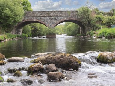 A stone arch bridge over a river with rocks and flowing water surrounded by trees
