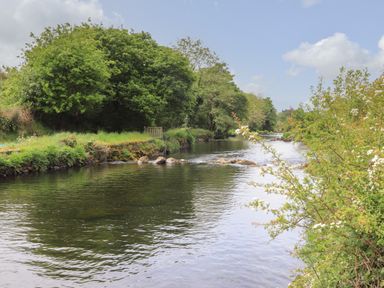 A river flowing with trees and bushes along the banks at Llety'r Bugail 2 in Llanrug